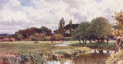 The Meads, Farnham (värilitra) tekijältä Harold Sutton Palmer