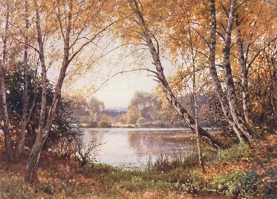 The Verge of the Pond, Royal Common (värilitro) tekijältä Harold Sutton Palmer