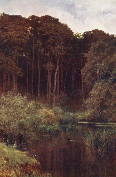 Woodland Depths, Wotton (värilitro) tekijältä Harold Sutton Palmer