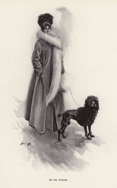Nainen pitkässä takissa villakoiran kanssa (litho) tekijältä Harrison Fisher