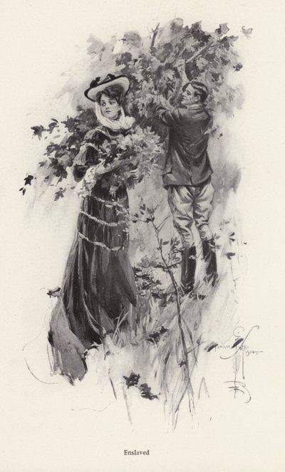 Nainen poimimassa kukkia miesihailijan kanssa (litho) tekijältä Harrison Fisher
