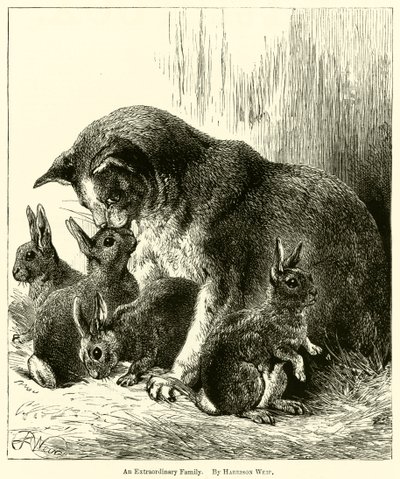 Poikkeuksellinen perhe tekijältä Harrison William Weir