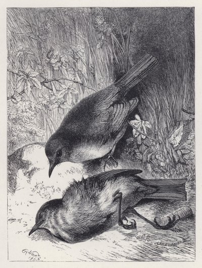 Robinin puolison kuolema (kaiverrus) tekijältä Harrison William Weir