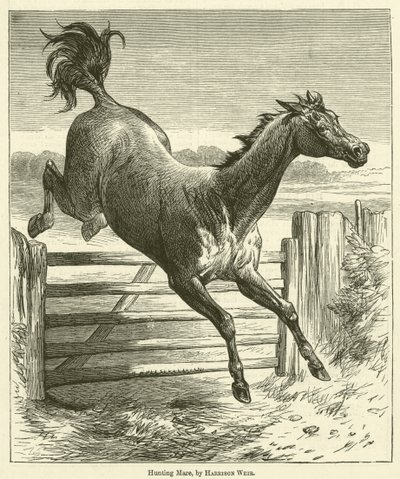 Metsästys tamma tekijältä Harrison William Weir