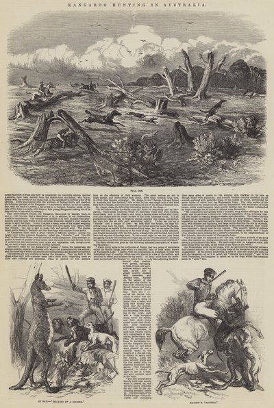 Kengurun metsästys Australiassa tekijältä Harrison William Weir