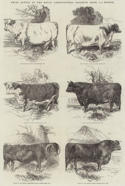 Palkintokarja Royal Agricultural Societyn näyttelyssä Exeterissä tekijältä Harrison William Weir