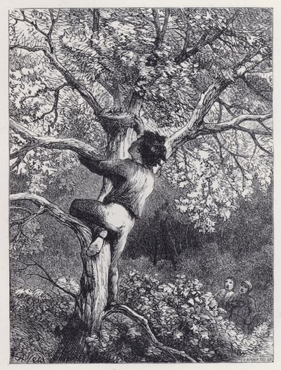 Linnetsien pesän ottaminen (kaiverrus) tekijältä Harrison William Weir