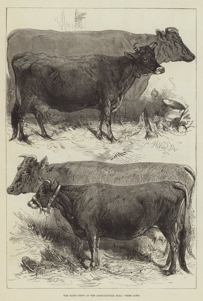 Maitonäyttely maataloushallissa, Palkintolehmät tekijältä Harrison William Weir