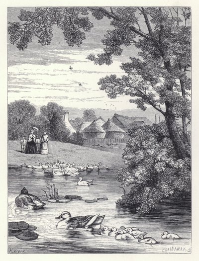 The Duck Pond (kaiverrus) tekijältä Harrison William Weir