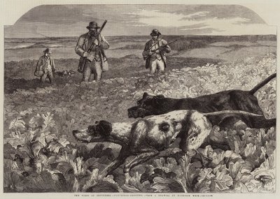Ensimmäinen syyskuu, Partridge-ammunta (kaiverrus) tekijältä Harrison William Weir