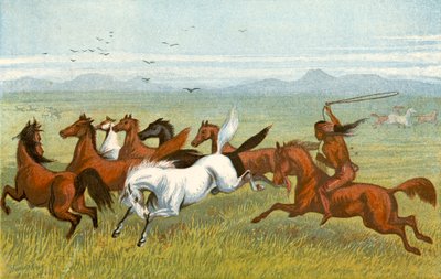 Hevonen - "Kuusi" tekijältä Harrison William Weir