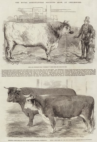 Royal Agricultural Societyn näyttely Chelmsfordissa tekijältä Harrison William Weir