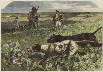 Syyskuun ensimmäinen tekijältä Harrison William Weir