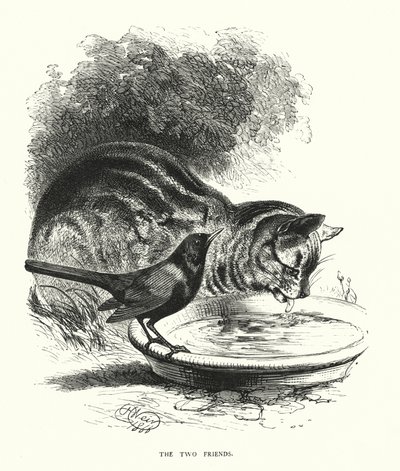 Kaksi ystävää (kaiverrus) tekijältä Harrison William Weir