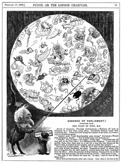Eduskunnan olemus: Sarjakuva eduskunnan vuoden 1883 ensimmäisen istunnon avajaisista (puukaiverrus) tekijältä Harry Furniss