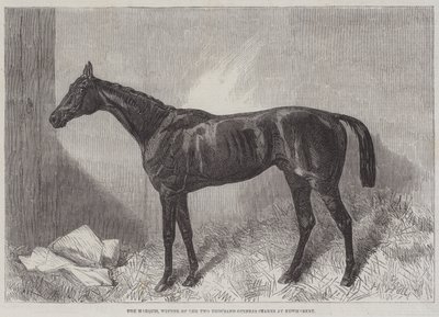 The Marquis, Newmarketin Two Thousand Guineas Stakes -kilpailun voittaja. tekijältä Harry Hall