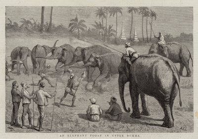 Elephant Pooay Ylä-Burmassa tekijältä Harry Hamilton Johnston