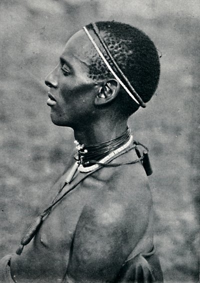 Hima Mpororosta, Päiväntasaajan Afrikasta, Victoria Nyanzan länsipuolella, 1912 tekijältä Harry Johnston