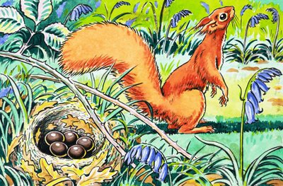 Pikku punainen orava tekijältä Harry M. Pettit