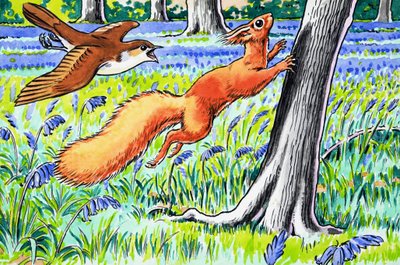 Pikku punainen orava tekijältä Harry M. Pettit