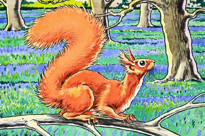 Pikku punainen orava tekijältä Harry M. Pettit