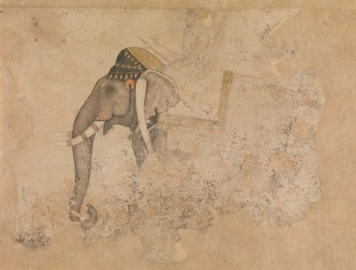 Elefantti ja ratsastaja, n. 1640. tekijältä Hashim.