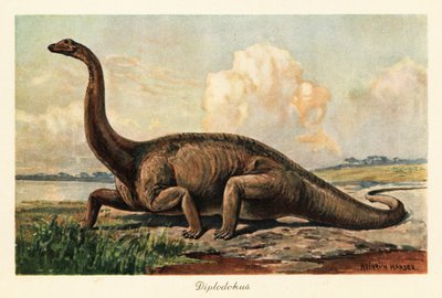 Kuolleet sukupuuttoon Diplodocus longus tasangoilla. tekijältä Heinrich Harder