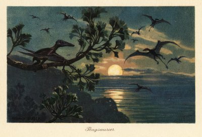 Rhamphorhynchus pterosaurukset lentävät kuunvalossa. tekijältä Heinrich Harder