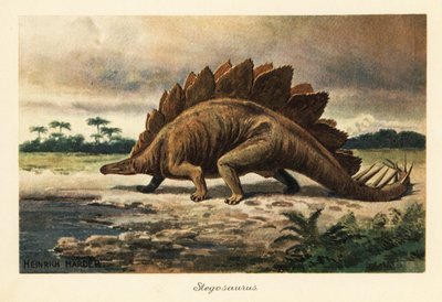 Stegosaurus armatus myöhäisjurakaudelta. tekijältä Heinrich Harder