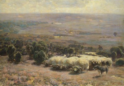 Lammaslauma Luneburger Heidessa, 1902 tekijältä Heinrich Johann von Zugel