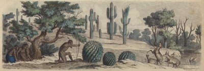 Colorado (värillinen kaiverrus) tekijältä Heinrich Leutemann