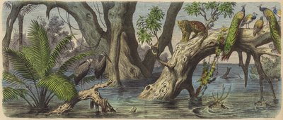 Tulvat Itä-Intiassa (värillinen kaiverrus) tekijältä Heinrich Leutemann