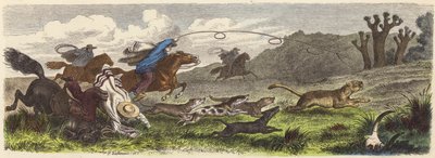 Metsästyspuma lassoilla Brasiliassa (värillinen kaiverrus) tekijältä Heinrich Leutemann