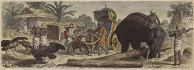 Kohtaus Bengalissa, Intiassa (värillinen kaiverrus) tekijältä Heinrich Leutemann