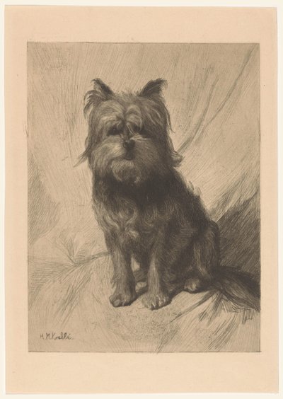 hollantilainen smoushond tekijältä Heinrich M. Krabbé
