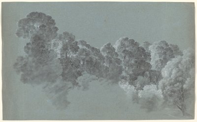 Valon iskemät metsän latvat tekijältä Heinrich Rieter