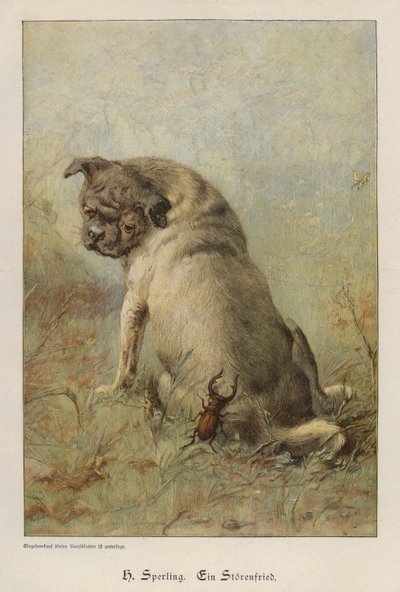A Troublemaker (värillinen kaiverrus) tekijältä Heinrich Sperling