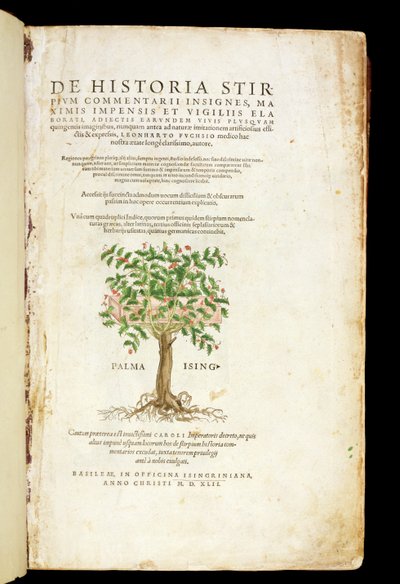 Nimisivu Leonard Fuchsin (1501-66) De Historia Stirpium Commentarii Insignesista, kaiverrus Rodolphe Speckle (k.1550), julkaistu 1542 tekijältä Heinrich and Meyer, Albert Fullmaurer