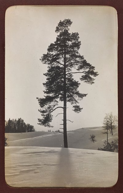 Ensimmäinen maailmansota: 