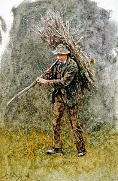 Puunippu (akvarelli paperille) tekijältä Helen Allingham