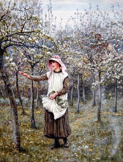 Kukinta-aika (akvarelli paperille) tekijältä Helen Allingham