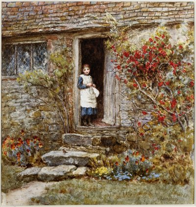 Corcorus Japonica (akvarelli raapimalla) tekijältä Helen Allingham