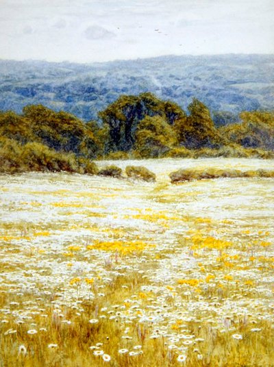 Oxeye Daisies, lähellä Westerhamia, Kentissä (akvarelli paperille) tekijältä Helen Allingham