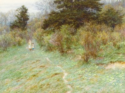 Primroses Surrey Heathillä (wc paperilla) tekijältä Helen Allingham