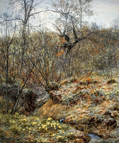 Kevätcopsi, Witley, Surrey (akvarelli paperille) tekijältä Helen Allingham