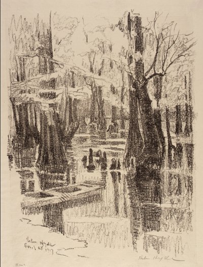 Cypress Swamp tekijältä Helen Hyde