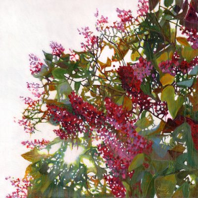 Aglow, 2015 tekijältä Helen White