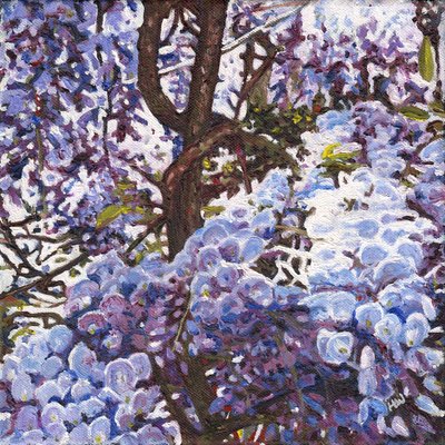 Blue Wisteria, 2012 tekijältä Helen White