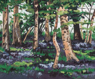 Bluebell wood, 2009, tekijältä Helen White
