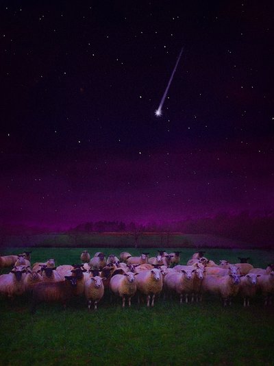 Flock by Night, 2019 tekijältä Helen White